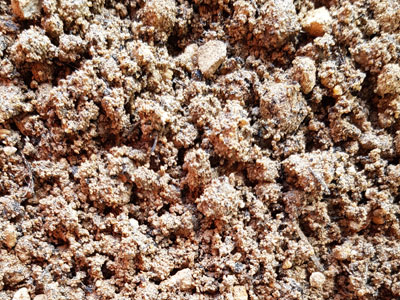 screening-soil-minus_10m_sand_plus_20_GO_Compost